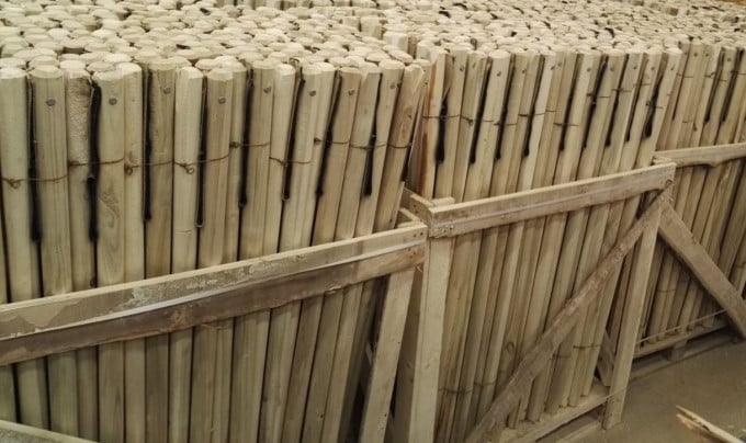 Baumstützen - Baumset Durchmesser 5 cm x 150 cm lang | holzundgarten.de